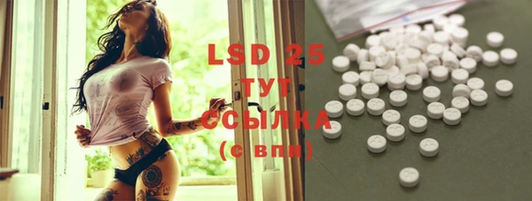 ECSTASY Богородицк