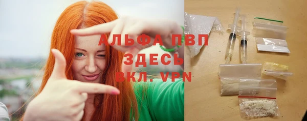 ECSTASY Богородицк