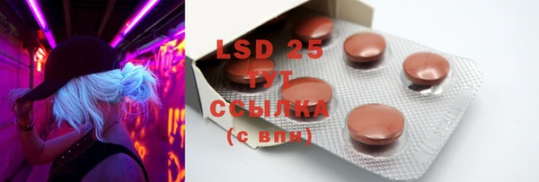 ECSTASY Богородицк