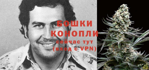 ECSTASY Богородицк