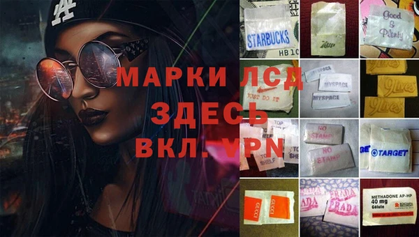 ECSTASY Богородицк