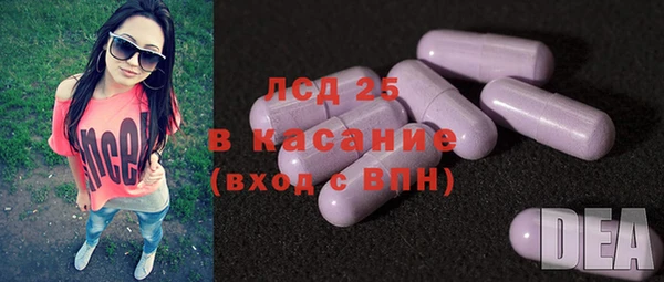 ECSTASY Богородицк