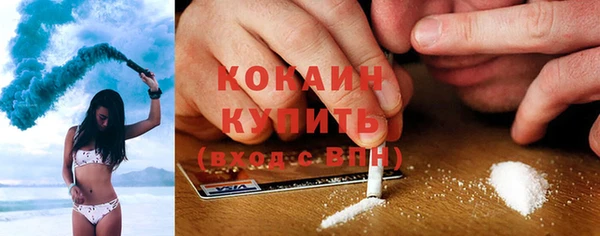 ECSTASY Богородицк