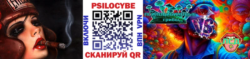 hydra ССЫЛКА  Менделеевск  Псилоцибиновые грибы GOLDEN TEACHER 